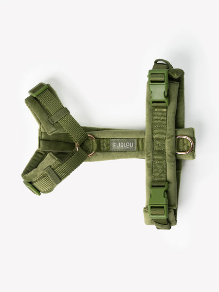 furlou-harnais-pour-chien-velvet-vert