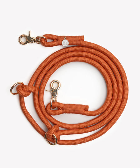 furlou-laisse-main-libre-pour-chien-terracotta