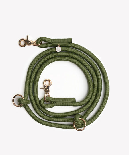 furlou-laisse-main-libre-pour-chien-vert