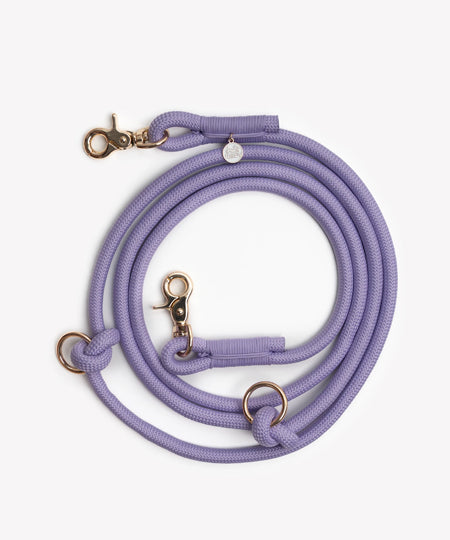 furlou-laisse-main-libre-pour-chien-violet-lavande