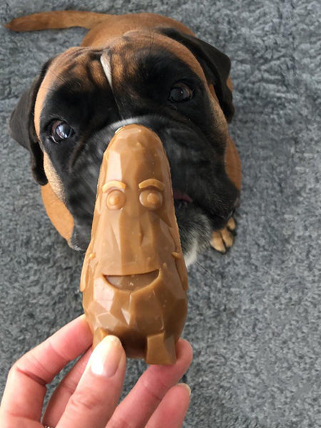 garden-bites-friandises-pour-chien-veggies-friends-vegan-small