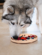 Tapis de léchage pour chien et chat - YoomY Pizza - inooko