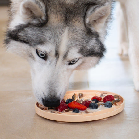 Tapis de léchage pour chien et chat - YoomY Pizza - inooko