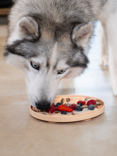 Tapis de léchage pour chien et chat - YoomY Pizza - inooko