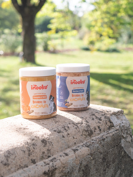 inooko-beurre-de-cacahuete-chien-Pumpkin-n-nuts