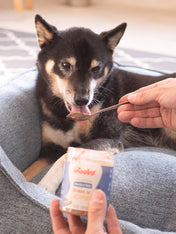 inooko-beurre-de-cacahuete-chien-Berries-n-nuts