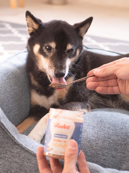 inooko-beurre-de-cacahuete-chien-Berries-n-nuts