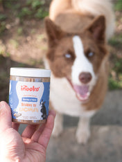 inooko-beurre-de-cacahuete-chien-Berries-n-nuts