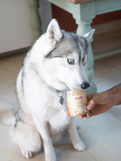 inooko-beurre-de-cacahuete-chien-banana-n-nuts