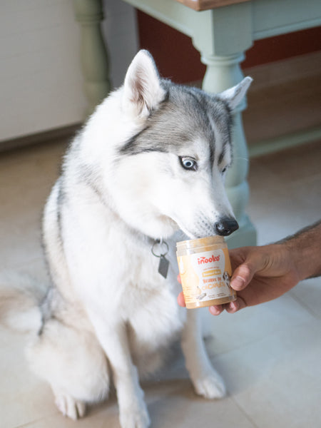 inooko-beurre-de-cacahuete-chien-banana-n-nuts