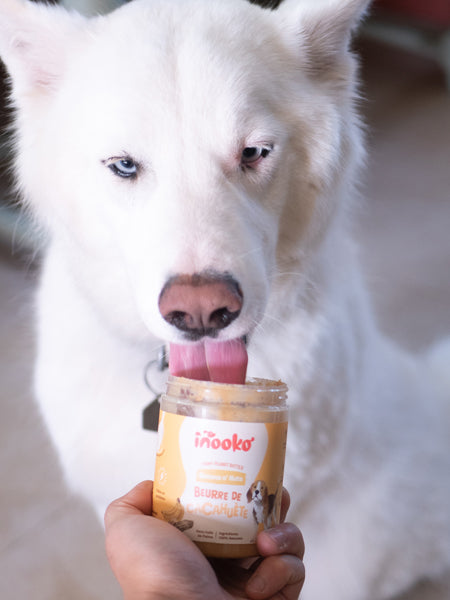 inooko-beurre-de-cacahuete-chien-banana-n-nuts