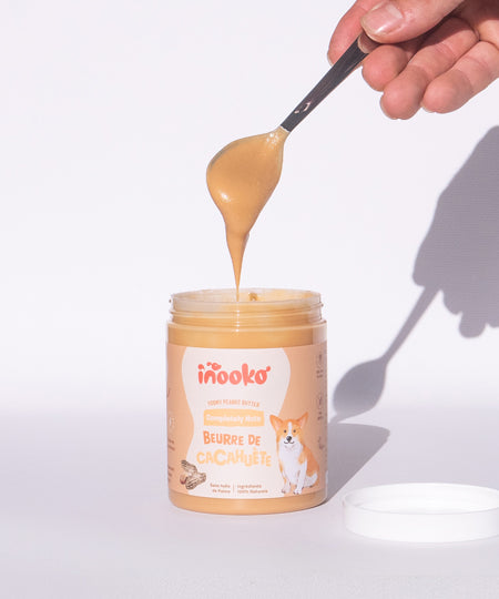 inooko-beurre-de-cacahuete-chien-completely-nuts