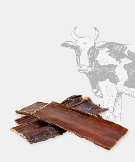 inooko-friandises-chien-naturelles-oesophage-boeuf