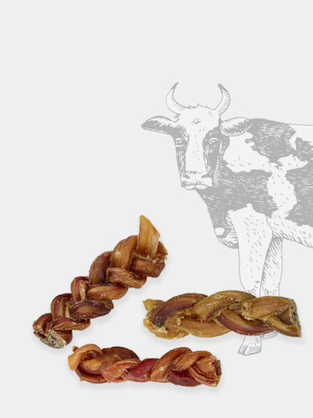 inooko-friandises-mastication-pour-chien-bully-stick-tresse-nerf-de-boeuf