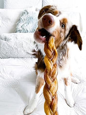 inooko-friandises-mastication-pour-chien-bully-stick-tresse-nerf-de-boeuf-25cm