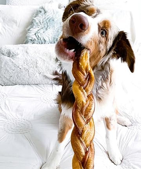 inooko-friandises-mastication-pour-chien-bully-stick-tresse-nerf-de-boeuf-25cm