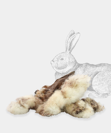 inooko-friandises-mastication-pour-chien-premium-oreille-lapin-poils