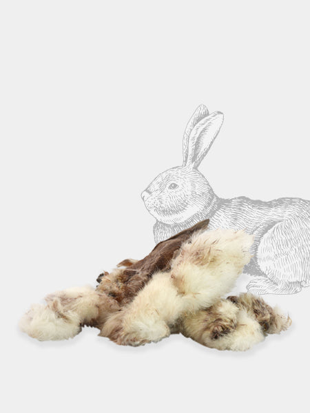 inooko-friandises-mastication-pour-chien-premium-oreille-lapin-poils