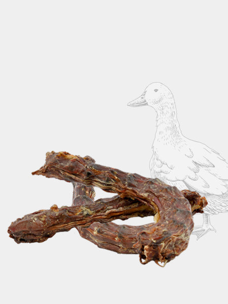 inooko-friandises-pour-chien-a-macher-Cous-de-Canard