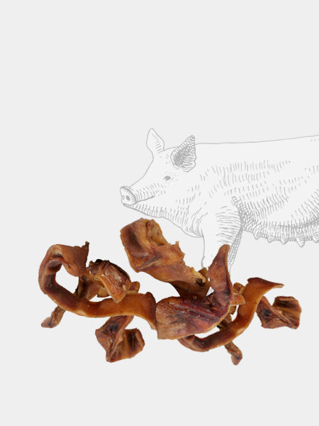 inooko-friandises-pour-chien-premium-laniere-oreille-de-porc