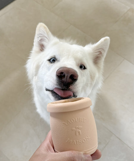 Jouet d'occupation à remplir pour chien - Yoomy Pot Sage - inooko - inooko