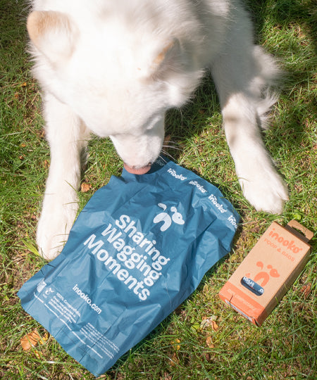 inooko-sac-a-crotte-dejection-pour-chien-compostable-home-compost-tuv