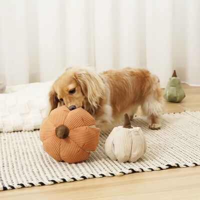 inooko - sélection automne pour chien