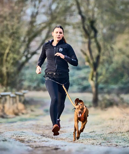 non-stop-dogwear-ceinture-canicross-canix-belt-2.0