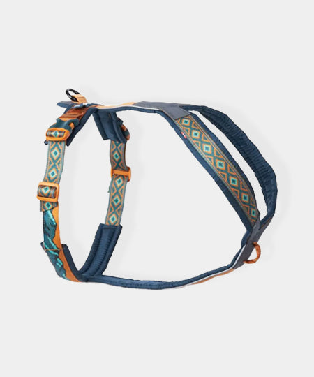 non-stop-dogwear-harnais-chien-Line-5.0-Rachel-Pohl-edition-teal