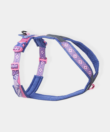 non-stop-dogwear-harnais-chien-Line-5.0-Rachel-Pohl-edition-purple-pink