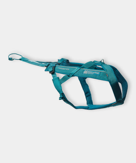 non-stop-dogwear-harnais-freemotion-teal