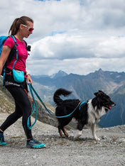 non-stop-dogwear-laisse-bungee-teal