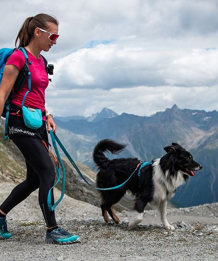 non-stop-dogwear-laisse-bungee-teal