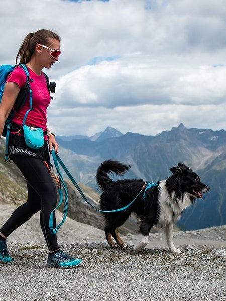 non-stop-dogwear-laisse-bungee-teal