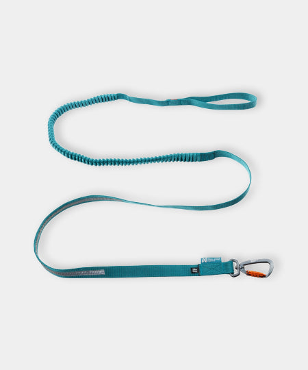 non-stop-dogwear-laisse-bungee-teal