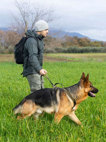 non-stop-dogwear-laisse-chien-freemotion-Touring-bungee-working-dog