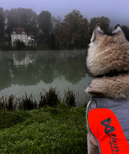 non-stop-dogwear-veste-reflechissante-3m