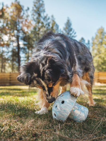ruffwear-jouet-resistant-eco-friendly-durable-naturel-Porcini-gris