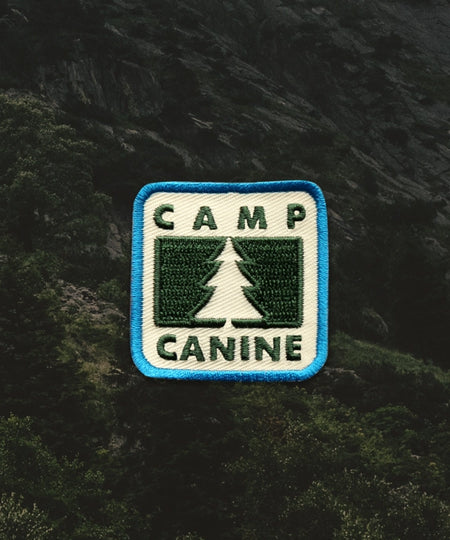 scout_s-honour-patch-thermocollant-pour-chien-camp-canine