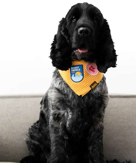 scout_s-honour-patch-thermocollant-pour-chien-doggy-paddle