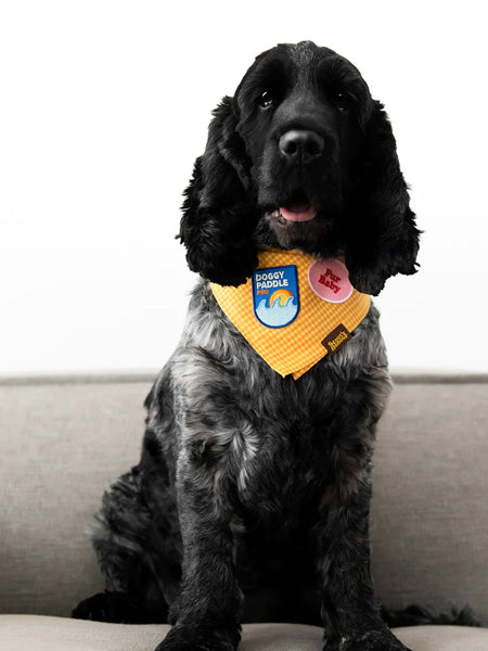 scout_s-honour-patch-thermocollant-pour-chien-doggy-paddle