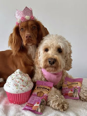 soopa-friandise-naturelles-chien-dog-bites-fraise-creme-de-coco