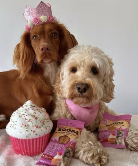 soopa-friandise-naturelles-chien-dog-bites-fraise-creme-de-coco