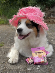 soopa-friandise-naturelles-chien-dog-bites-fraise-creme-de-coco