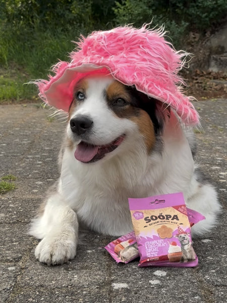 soopa-friandise-naturelles-chien-dog-bites-fraise-creme-de-coco