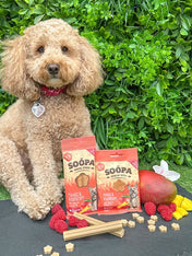 soopa-friandise-naturelles-chien-dog-treat-mangue-framboise