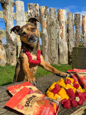 soopa-friandise-naturelles-chien-dog-bites-mangue-framboise
