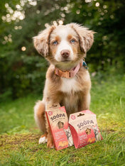 soopa-friandise-naturelles-chien-stick-dentaire-canberry-patate-douce