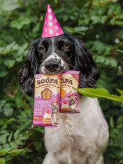 soopa-friandise-naturelles-chien-dog-treat-fraise-creme-de-coco