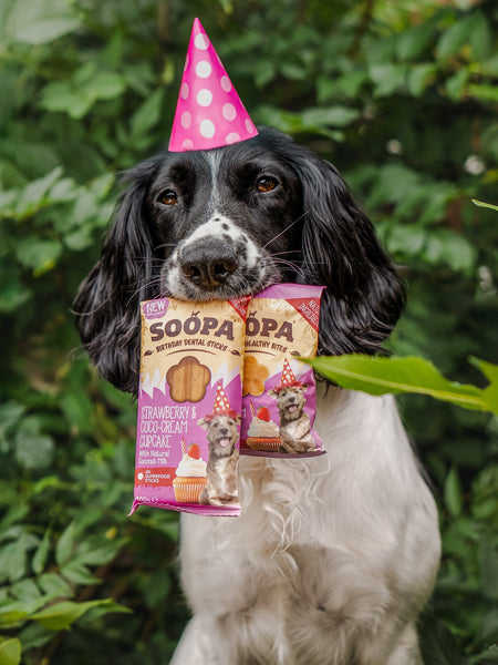 soopa-friandise-naturelles-chien-dog-treat-fraise-creme-de-coco